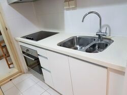 One Oxley Rise (D9), Apartment #558122301